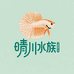 晴川水族