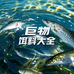 巨物饵料大全