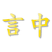 言中摄像头旗舰店