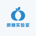微醺实验室