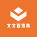 文文百货集
