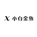 小白金鱼观赏鱼