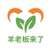 羊 老板来了