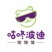 宁波咕咚波迪宠物