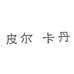 皮尔卡丹禾盈男装专卖店