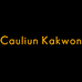 CauliunKakwon箱包