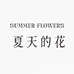 夏天的花花花