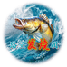 路亚发烧团