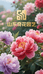 菏泽奇花园艺