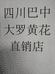 四川巴中大罗黄花店