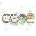 NiceBear奈思的小熊
