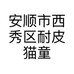 安顺市西秀区耐皮猫童装店的小店