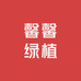 馨馨绿植精选