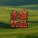永盛百货优品小铺
