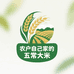 农户自己家的五常大米