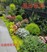 爱玲花园