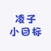 凌子小目标
