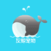 灰鲸水族用品店