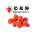 草莓圈农资供应厂家