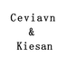 Ceviavn Kiesan配件店