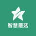 智慧蘑菇