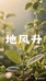 地风升农资企业店