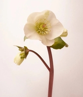 人生由我个体店