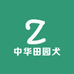 广西中华田园犬
