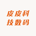 皮皮科技数码