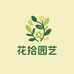 花拾园艺绿植