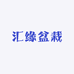 汇缘盆栽