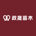 政晟苗木