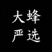 大蜂严选数码城