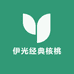 伊光经典核桃