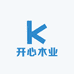 开心木业大板