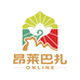 昂莱巴扎新疆店
