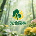 光合森林