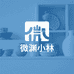 微渊小林工艺品店