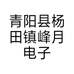 青阳县杨田镇峰月电子商务工作室的小店个体店