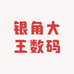 银角大王数码
