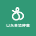 山东菲达种业