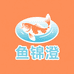 鱼锦澄水产养殖渔场
