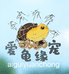 爱龟缘宠