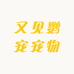 又见鹦宠宠物