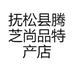 抚松县腾芝尚品特产店
