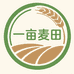 一亩麦田农产品