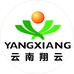 云南翔云电商