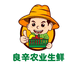良辛农业生鲜