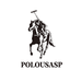 POLOUSASP深圳市魔霏科技有限公司影音专卖店