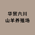华贸六川企业店